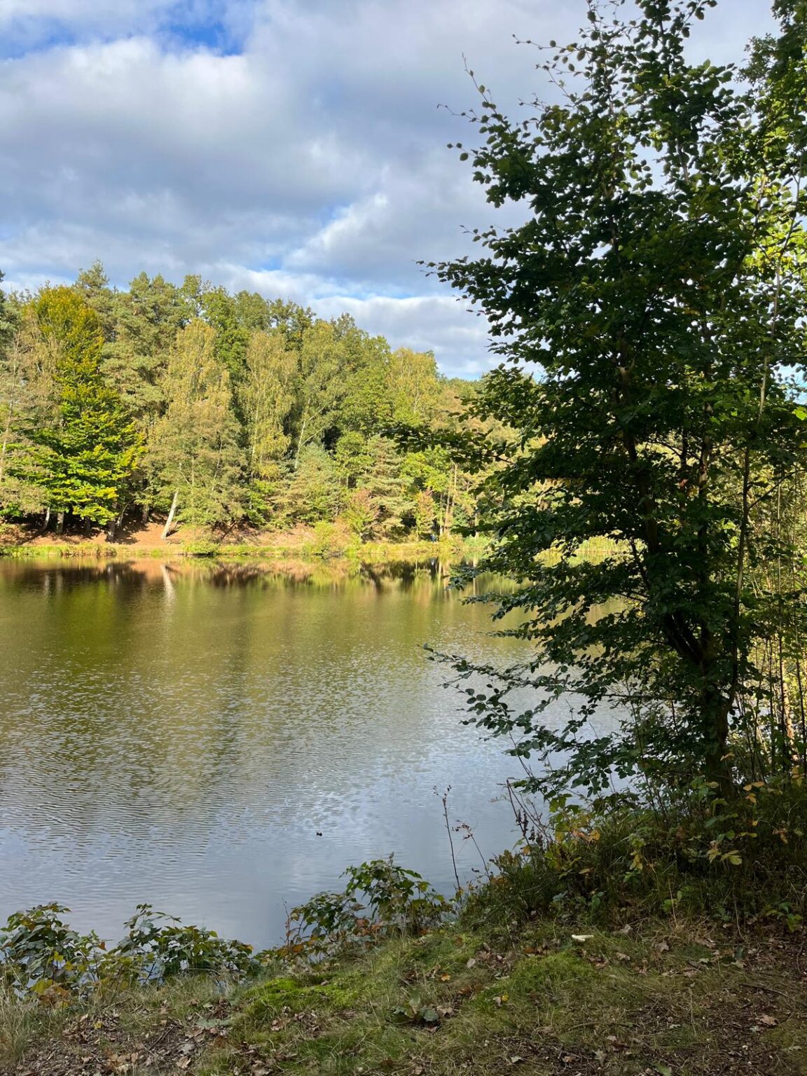 59d1761c-bbac-4e3a-89f3-e8303b016710